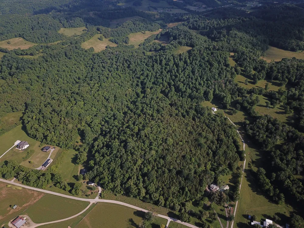 0 Norton Branch Rd Beechgrove, TN 37018