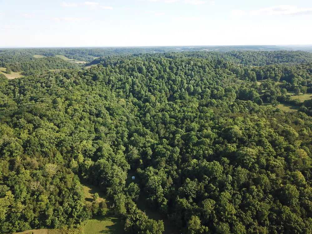 0 Norton Branch Rd Beechgrove, TN 37018