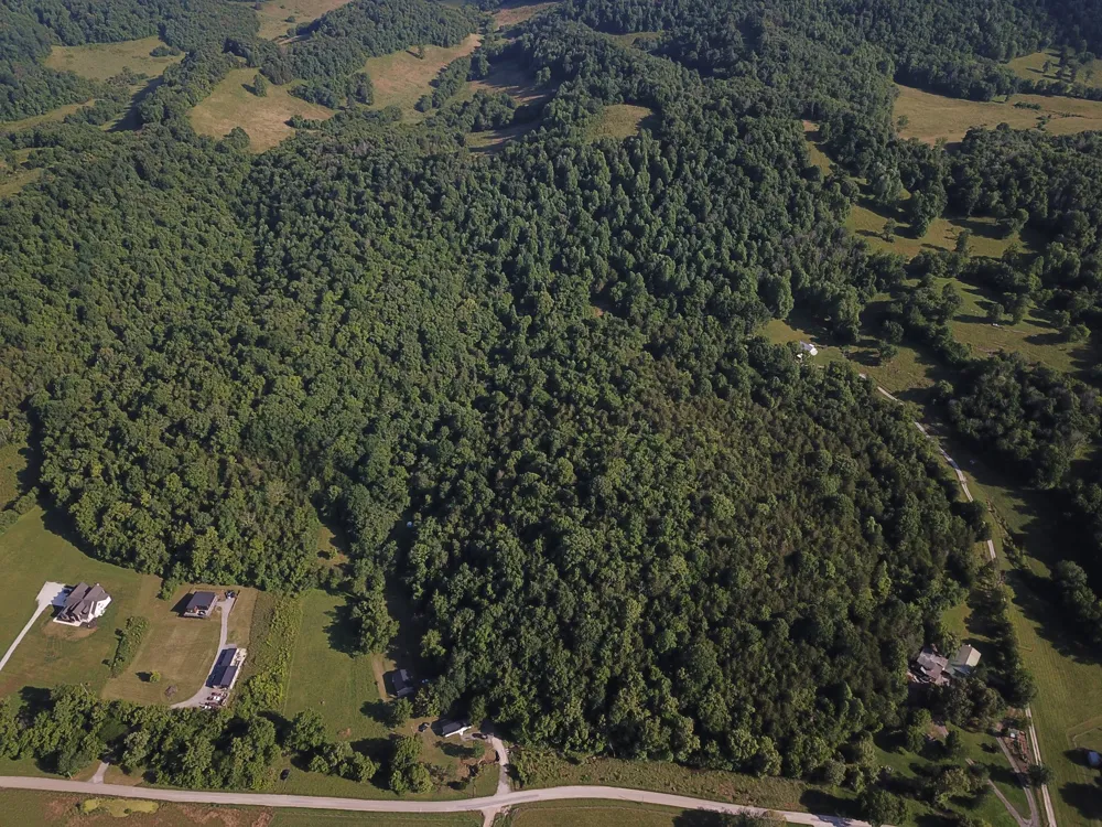 0 Norton Branch Rd Beechgrove, TN 37018