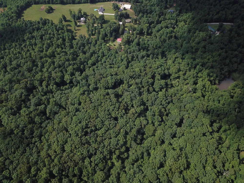 0 Norton Branch Rd Beechgrove, TN 37018