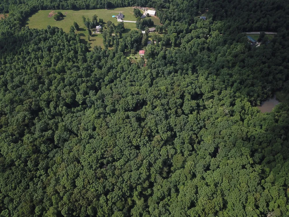 0 Norton Branch Rd Beechgrove, TN 37018