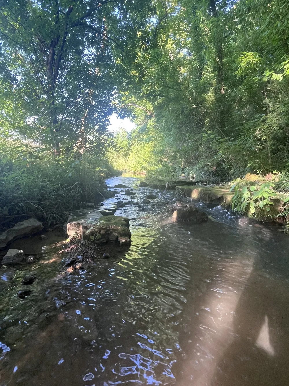 0 Norton Branch Rd Beechgrove, TN 37018