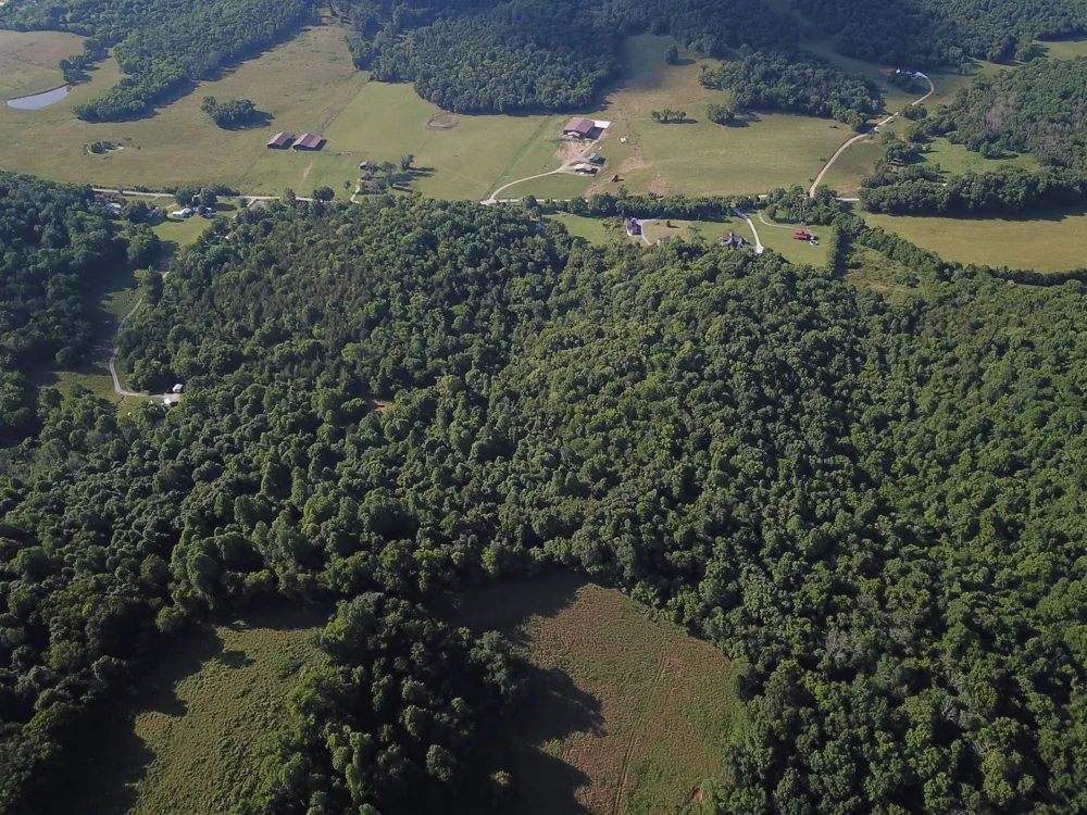 0 Norton Branch Rd Beechgrove, TN 37018