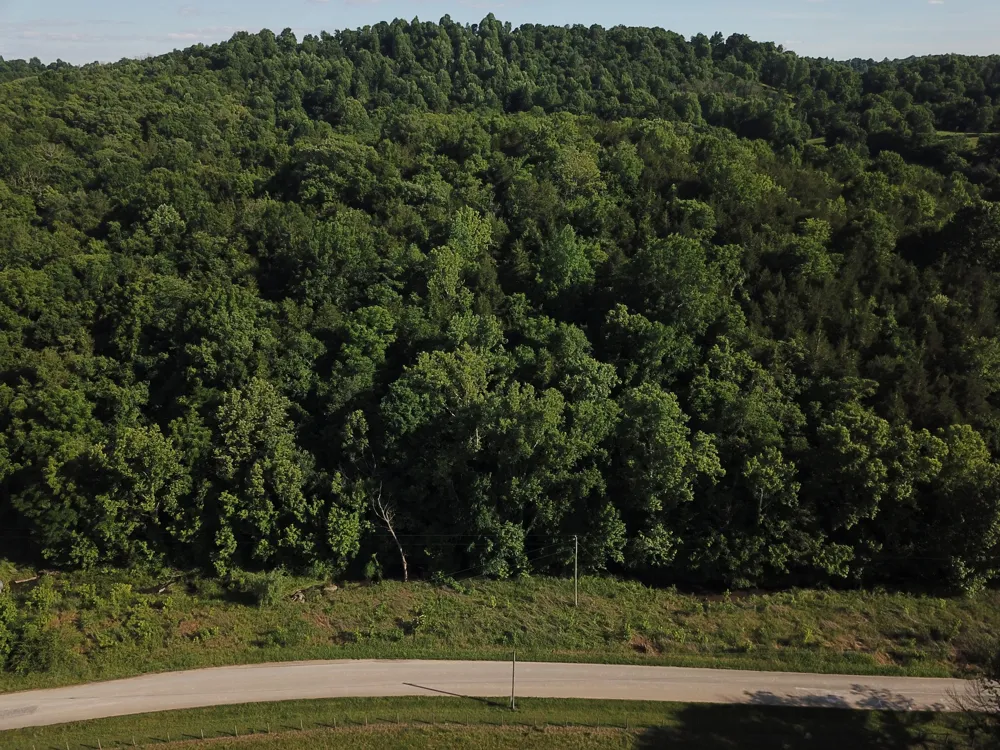 0 Norton Branch Rd Beechgrove, TN 37018