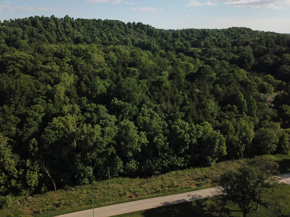 0 Norton Branch Rd Beechgrove, TN 37018