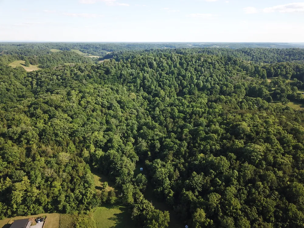 0 Norton Branch Rd Beechgrove, TN 37018