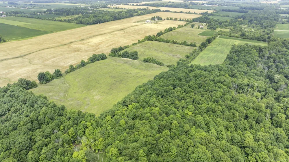 6144 Mortimer Line Road Worth Township, MI 48450