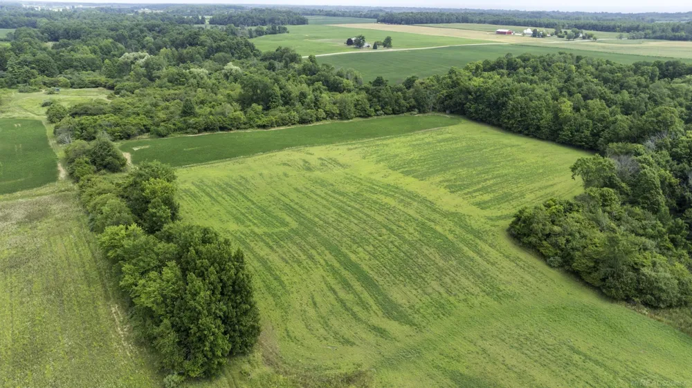 6144 Mortimer Line Road Worth Township, MI 48450