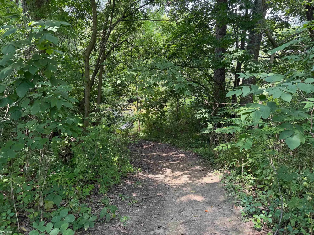 3049 Egleston Avenue Genesee Charter Township, MI 48506
