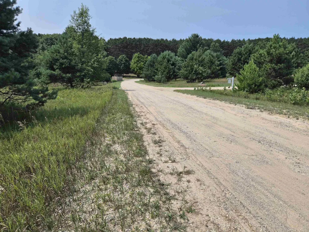 10331 Mapleview Drive Central Lake Township, MI 49622