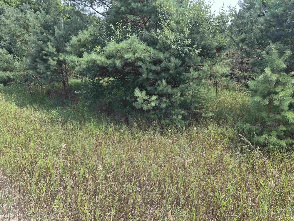 10331 Mapleview Drive Central Lake Township, MI 49622