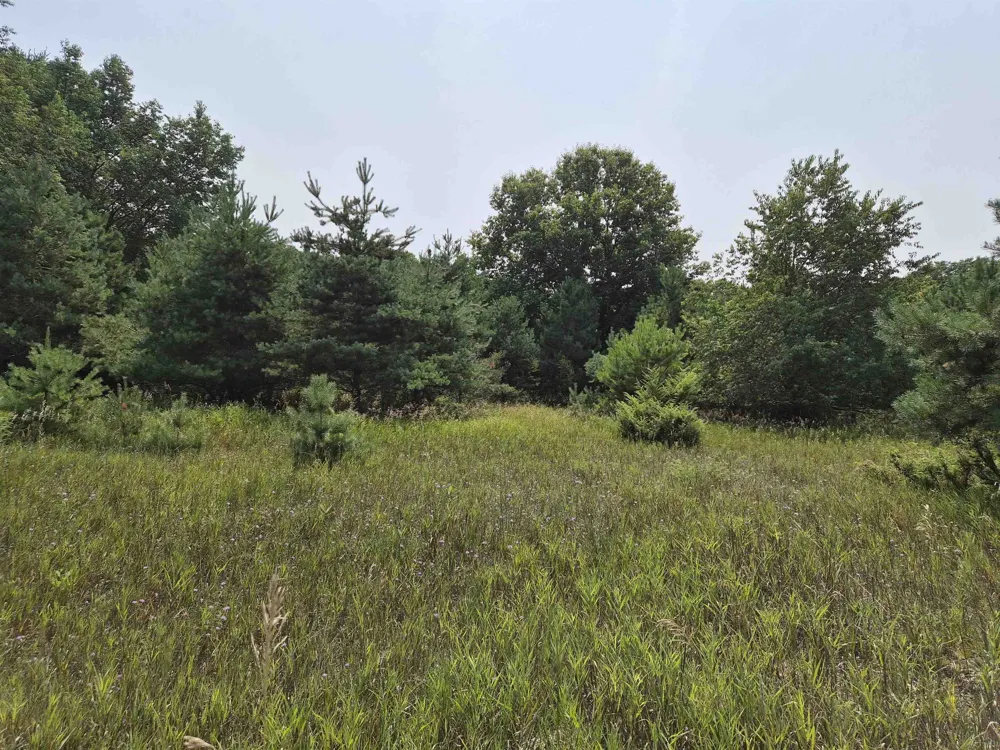 10331 Mapleview Drive Central Lake Township, MI 49622