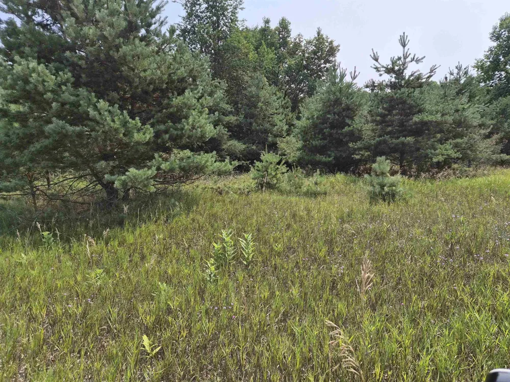 10331 Mapleview Drive Central Lake Township, MI 49622