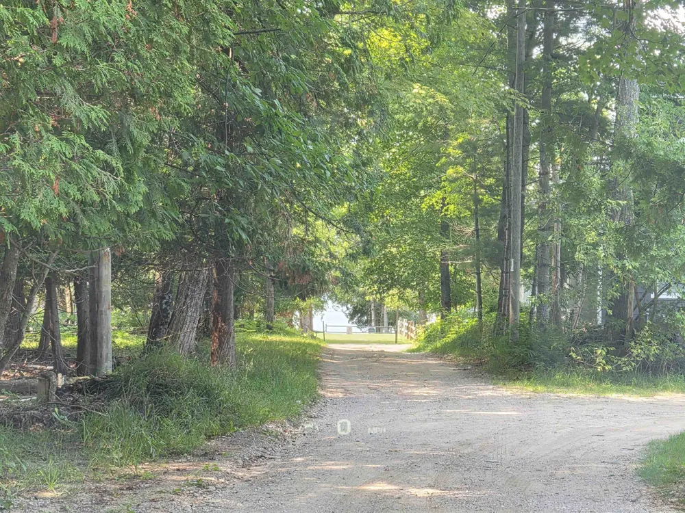 10331 Mapleview Drive Central Lake Township, MI 49622