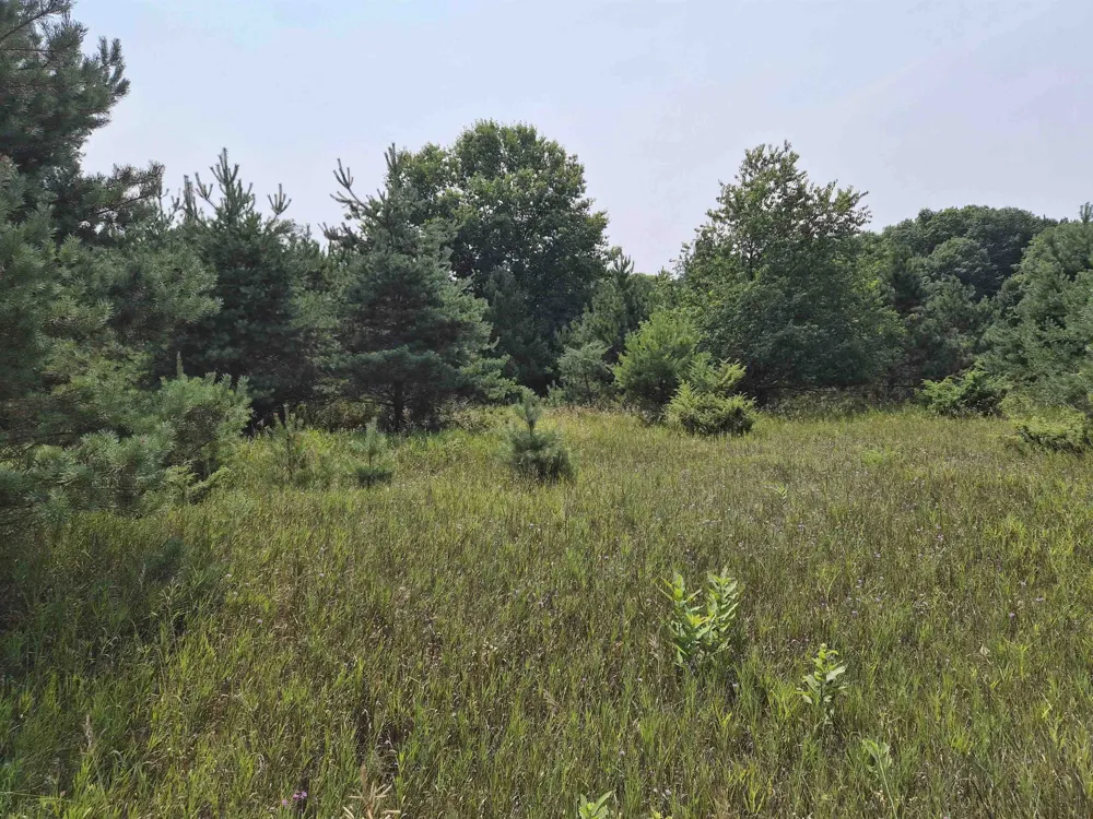 10331 Mapleview Drive Central Lake Township, MI 49622