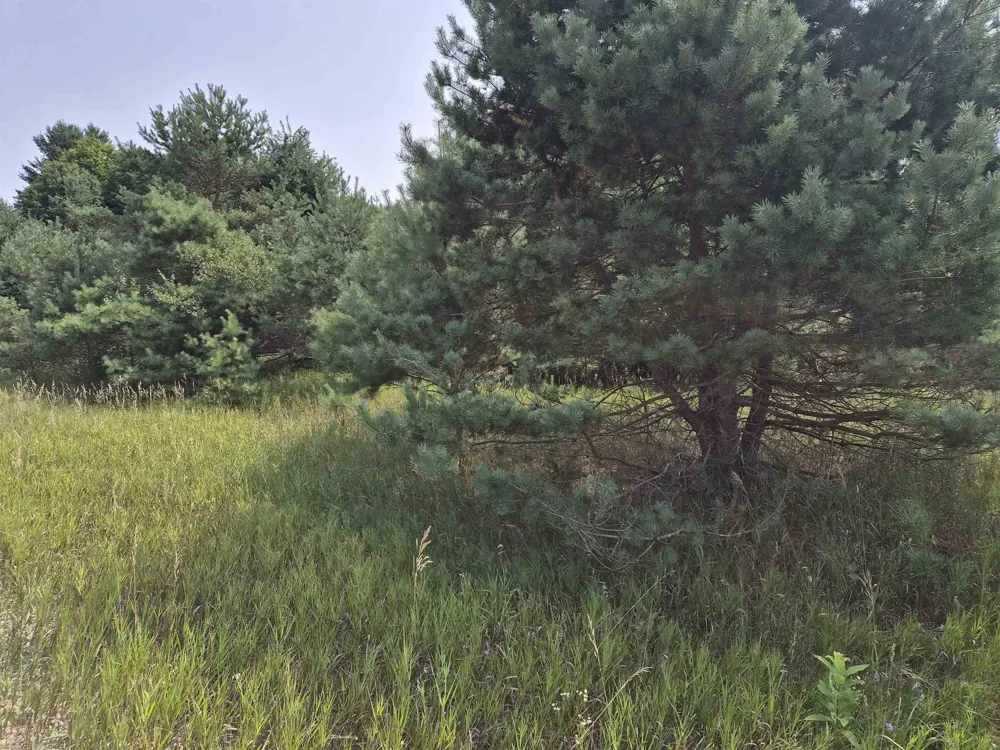 10331 Mapleview Drive Central Lake Township, MI 49622