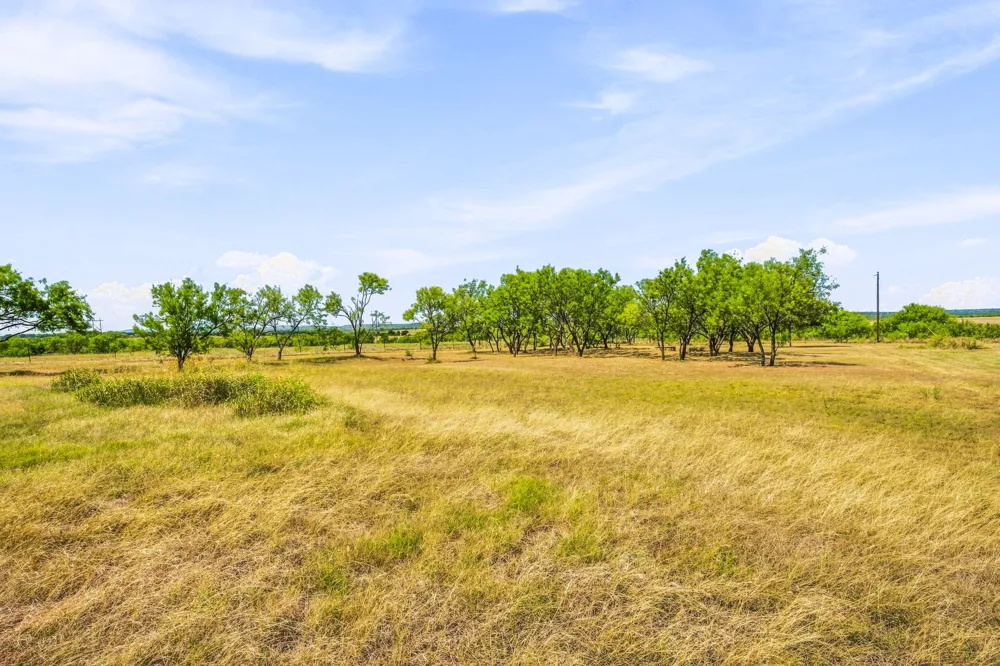 12824 Fm 1769 Graham, TX 76450