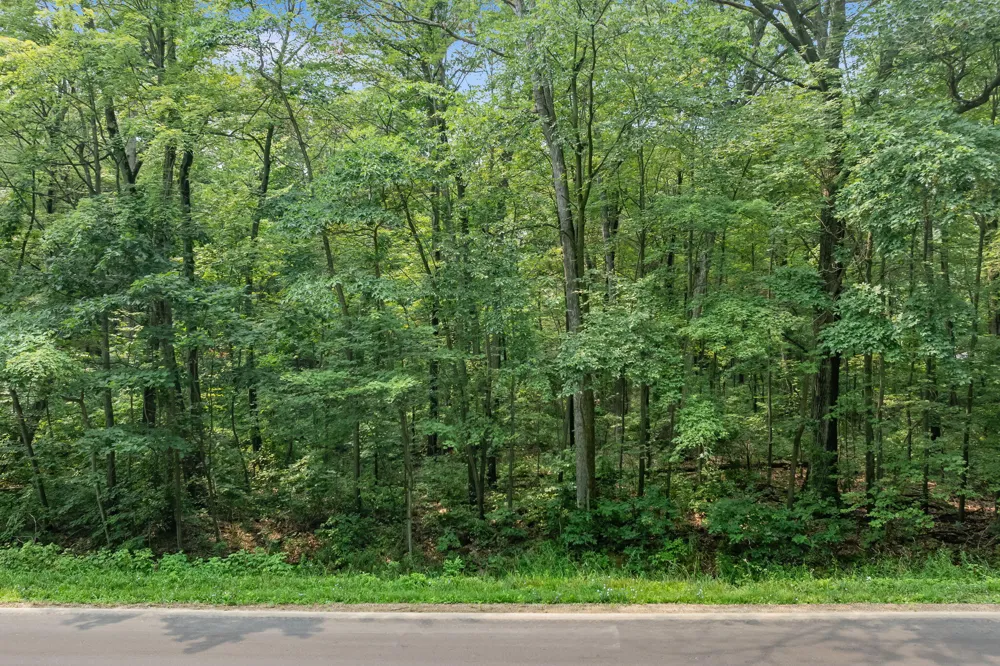 160th Avenue Holland, MI 49424
