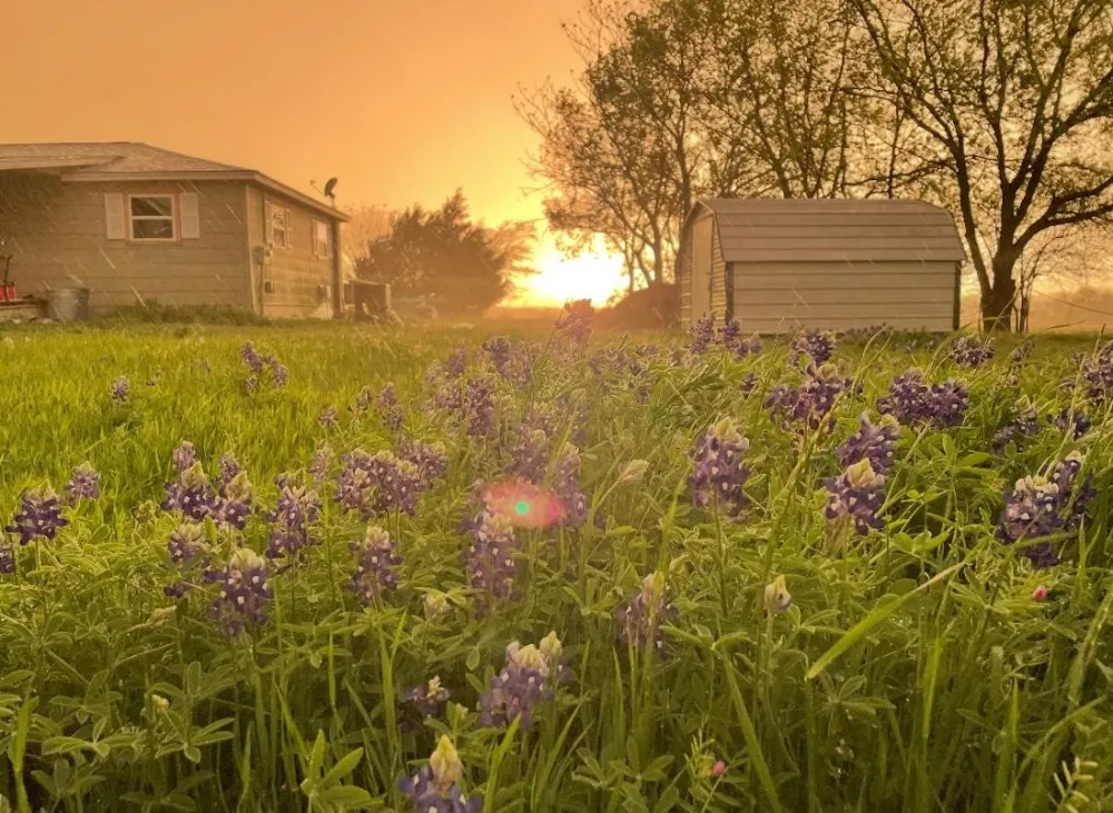 4410 Fm 118 Greenville, TX 75401