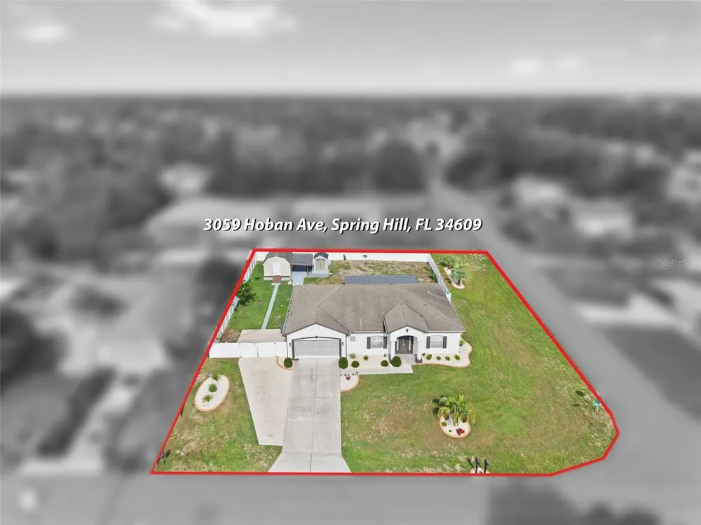 3059 HOBAN AVENUE Spring Hill, FL 34609