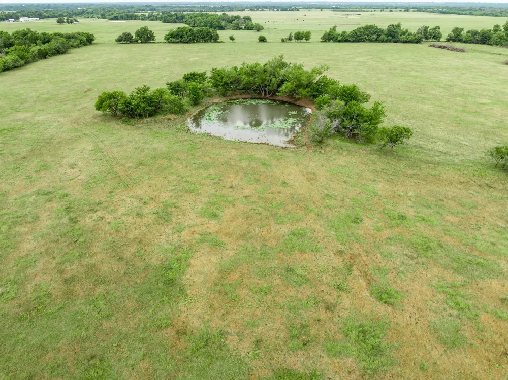 523 Lcr 667 Kosse, TX 76653