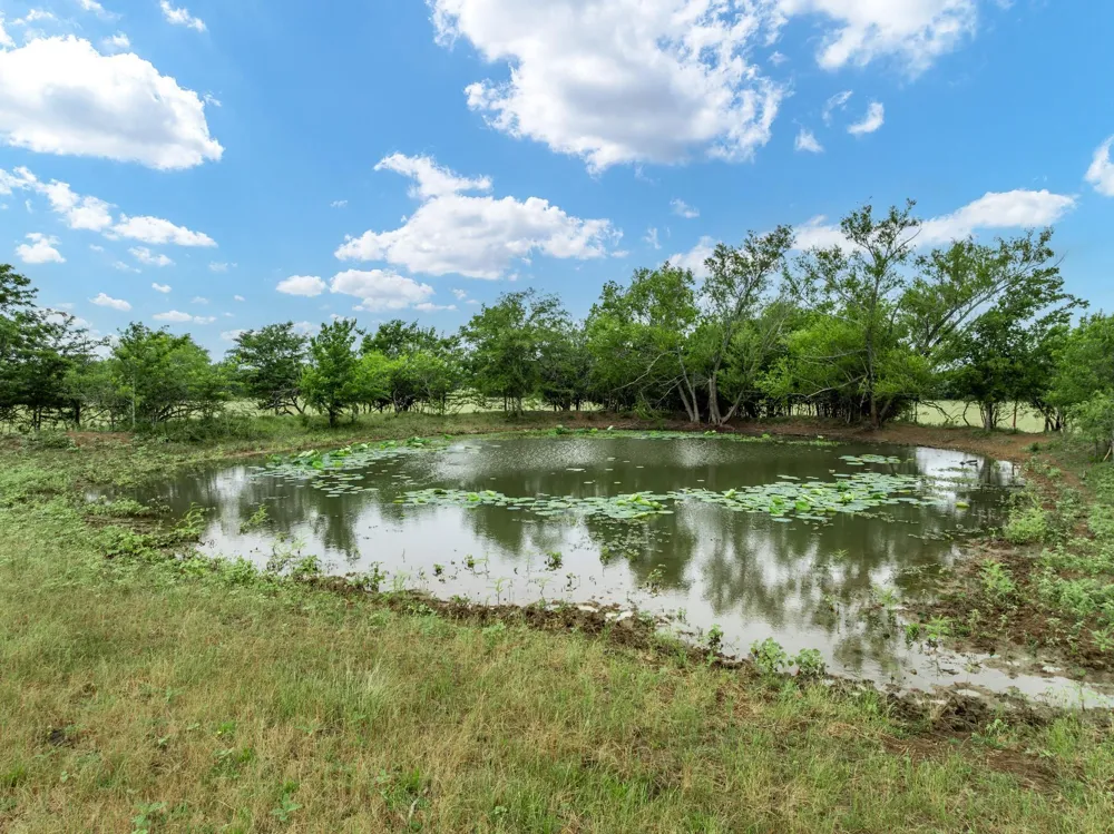 523 Lcr 667 Kosse, TX 76653