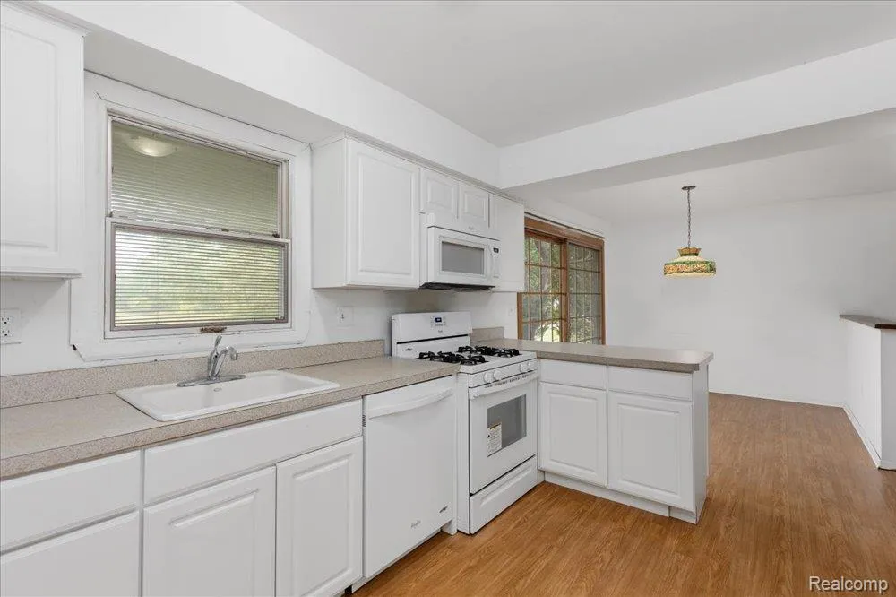 23067 Heatherbrae Way Novi City, MI 48375