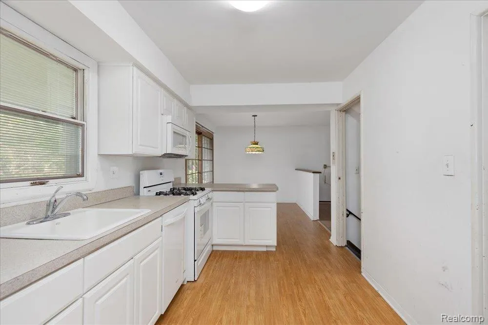 23067 Heatherbrae Way Novi City, MI 48375