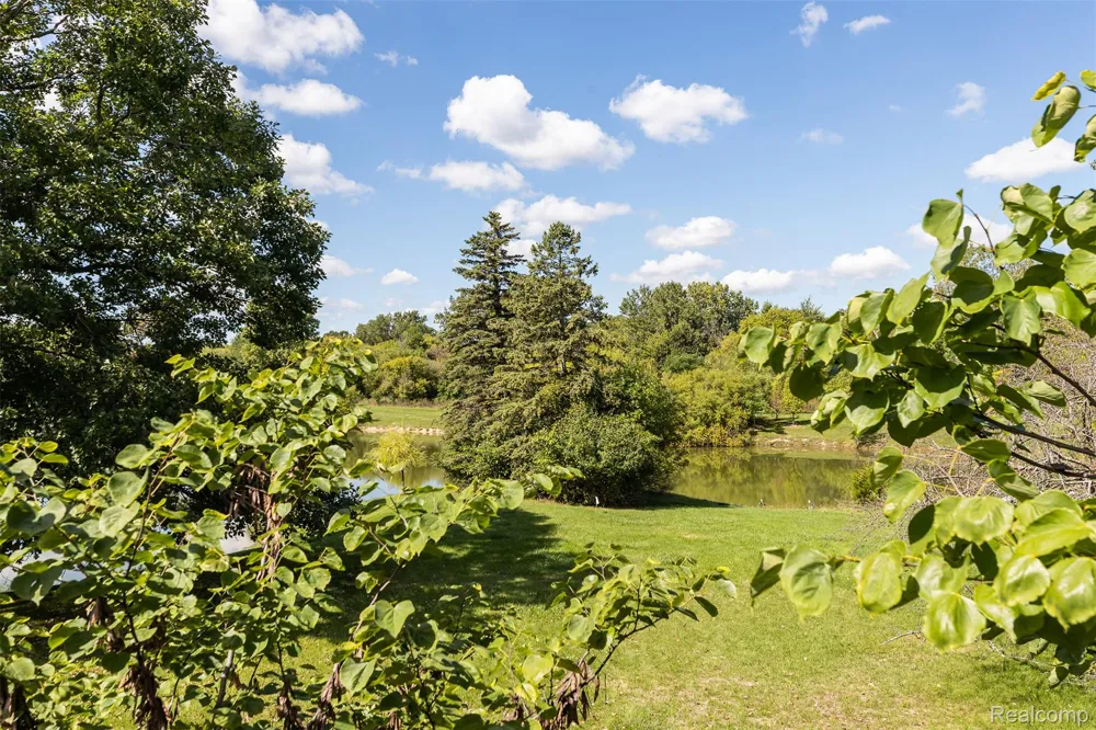 23067 Heatherbrae Way Novi City, MI 48375