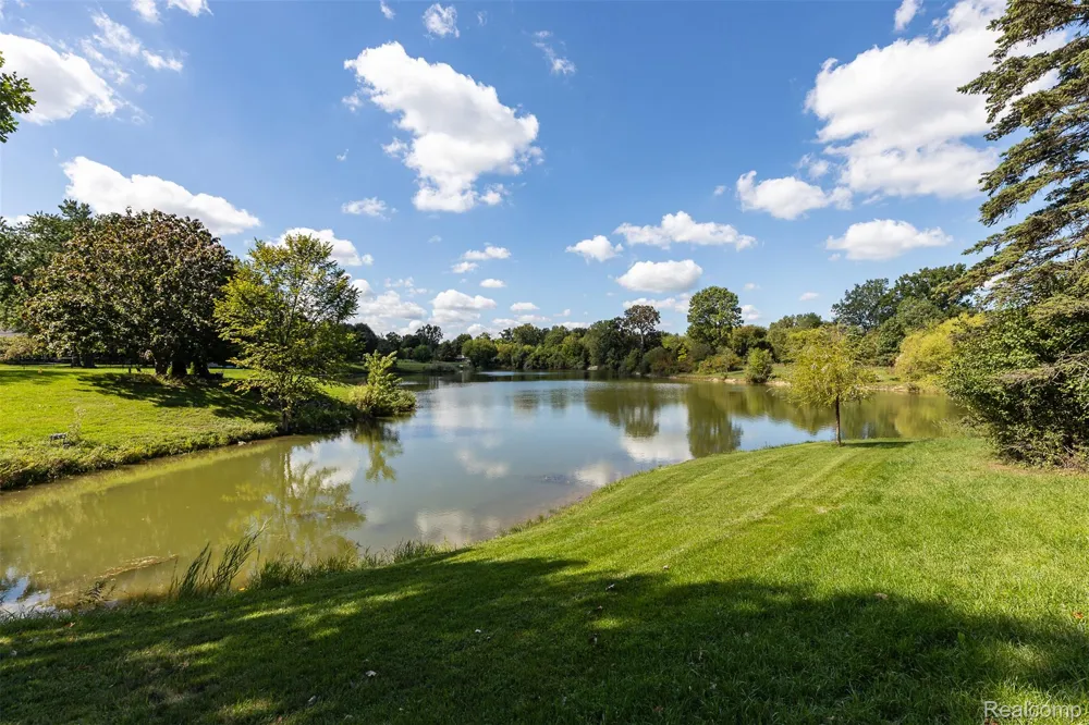23067 Heatherbrae Way Novi City, MI 48375