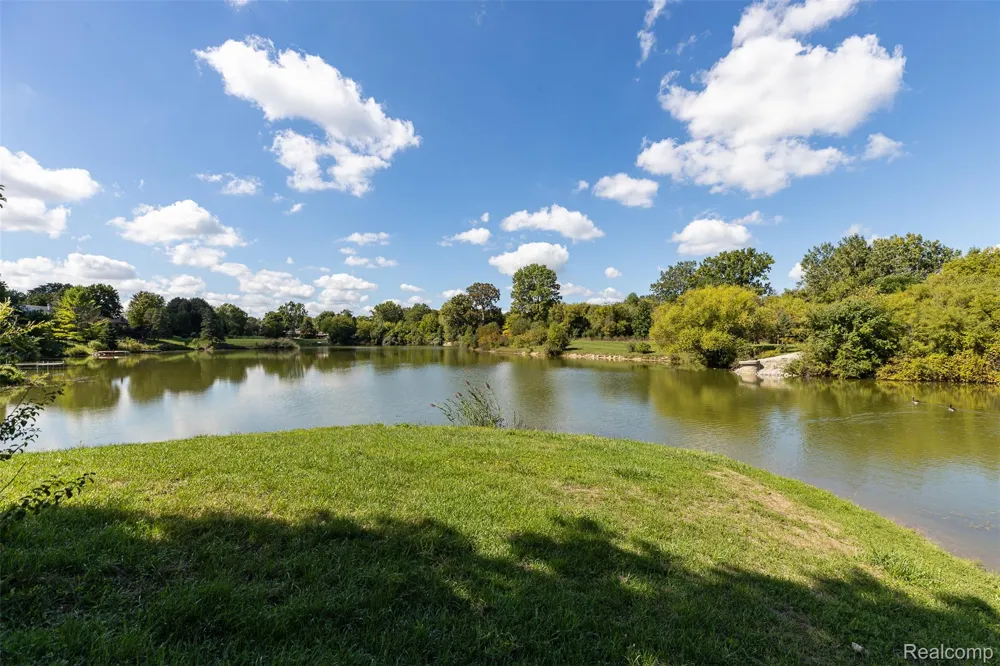 23067 Heatherbrae Way Novi City, MI 48375