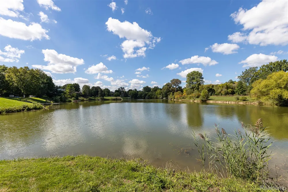 23067 Heatherbrae Way Novi City, MI 48375