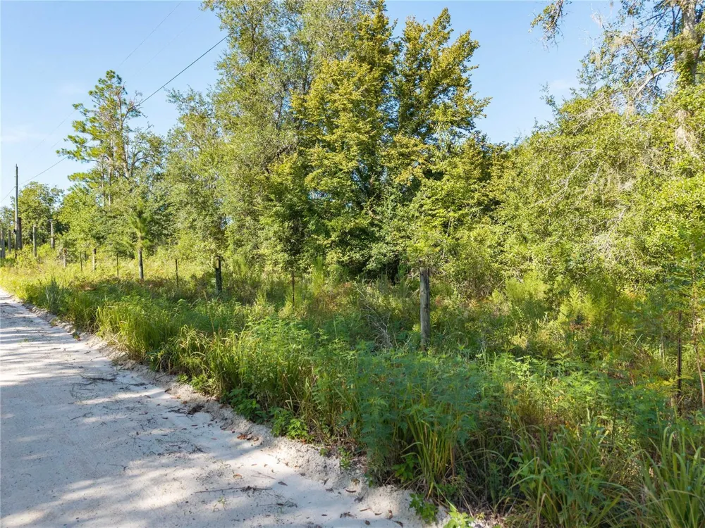 3901 181ST ROAD Live Oak, FL 32060