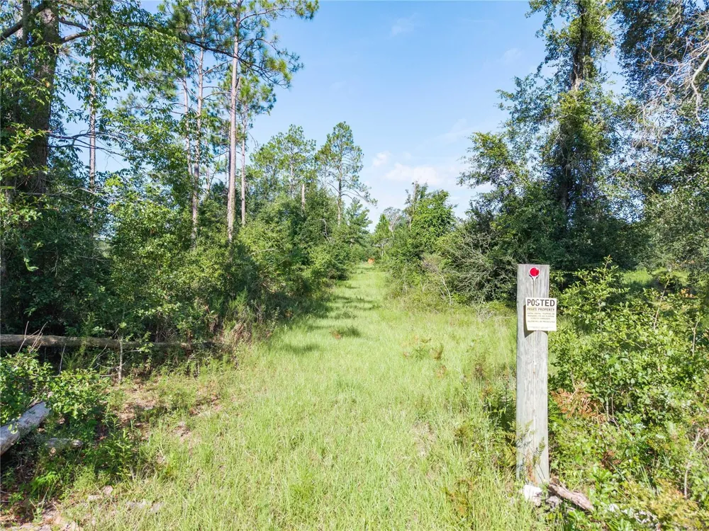 3901 181ST ROAD Live Oak, FL 32060