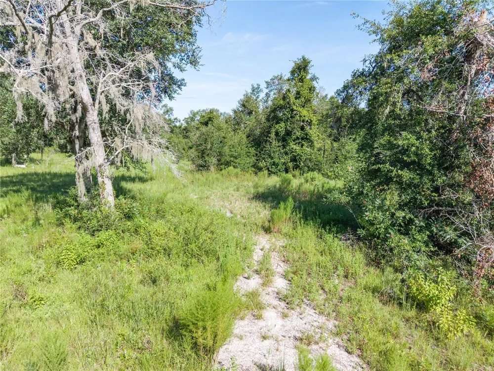 3901 181ST ROAD Live Oak, FL 32060