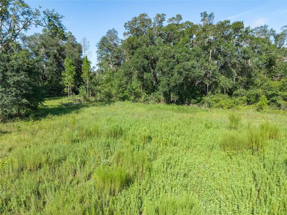3901 181ST ROAD Live Oak, FL 32060