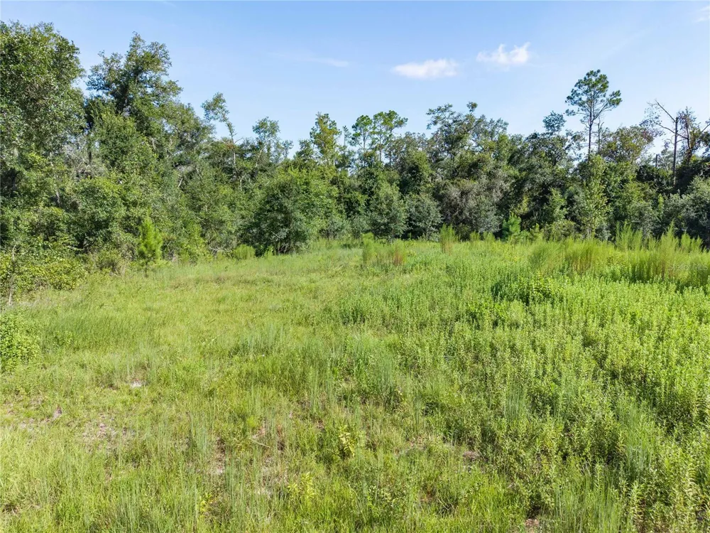 3901 181ST ROAD Live Oak, FL 32060