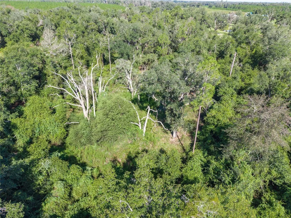 3901 181ST ROAD Live Oak, FL 32060
