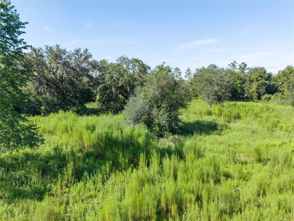 3901 181ST ROAD Live Oak, FL 32060