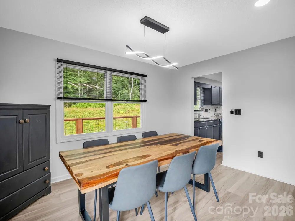 89 Hillview Circle Brevard, NC 28712