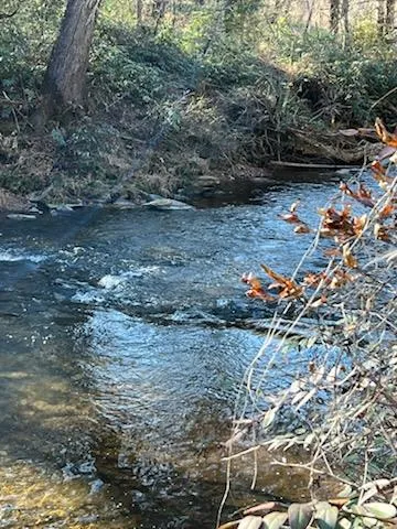 1918 Creekstone Lane