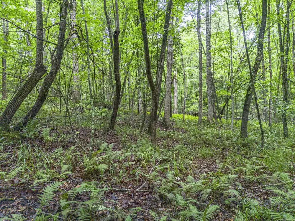 5.34 AC Hill Top Circle McCaysville, GA 30555