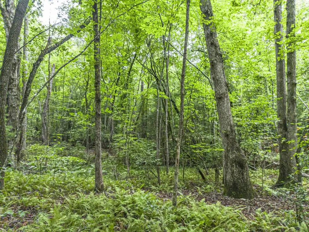 5.34 AC Hill Top Circle McCaysville, GA 30555