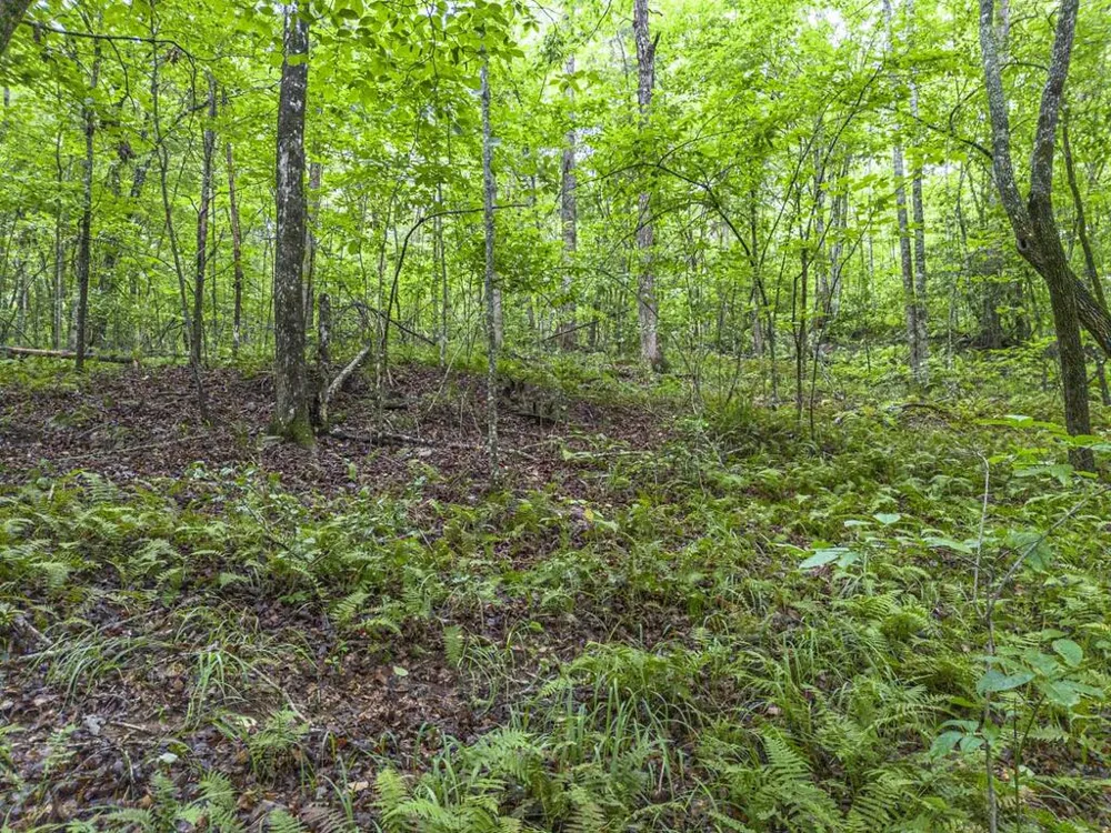 5.34 AC Hill Top Circle McCaysville, GA 30555