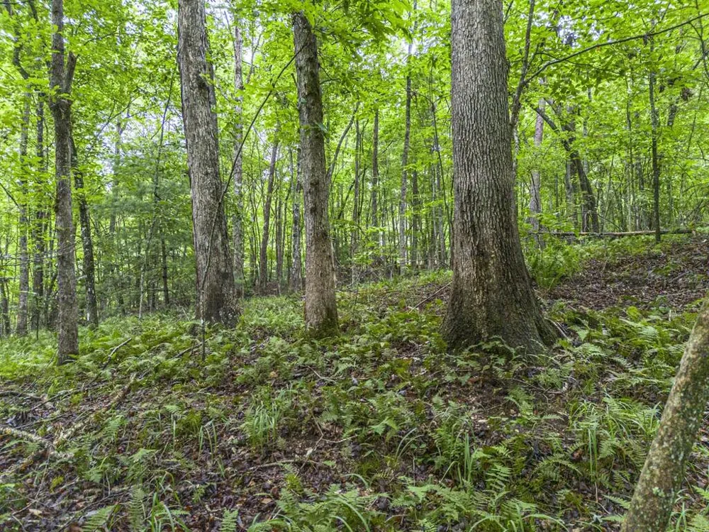 5.34 AC Hill Top Circle McCaysville, GA 30555