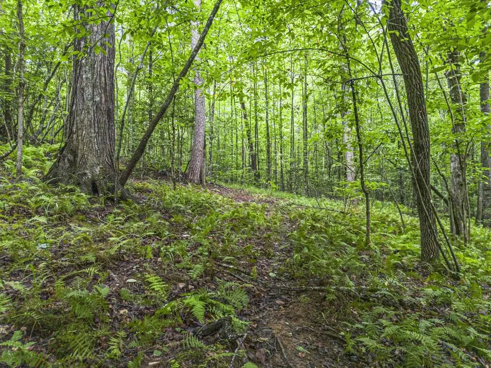 5.34 AC Hill Top Circle McCaysville, GA 30555