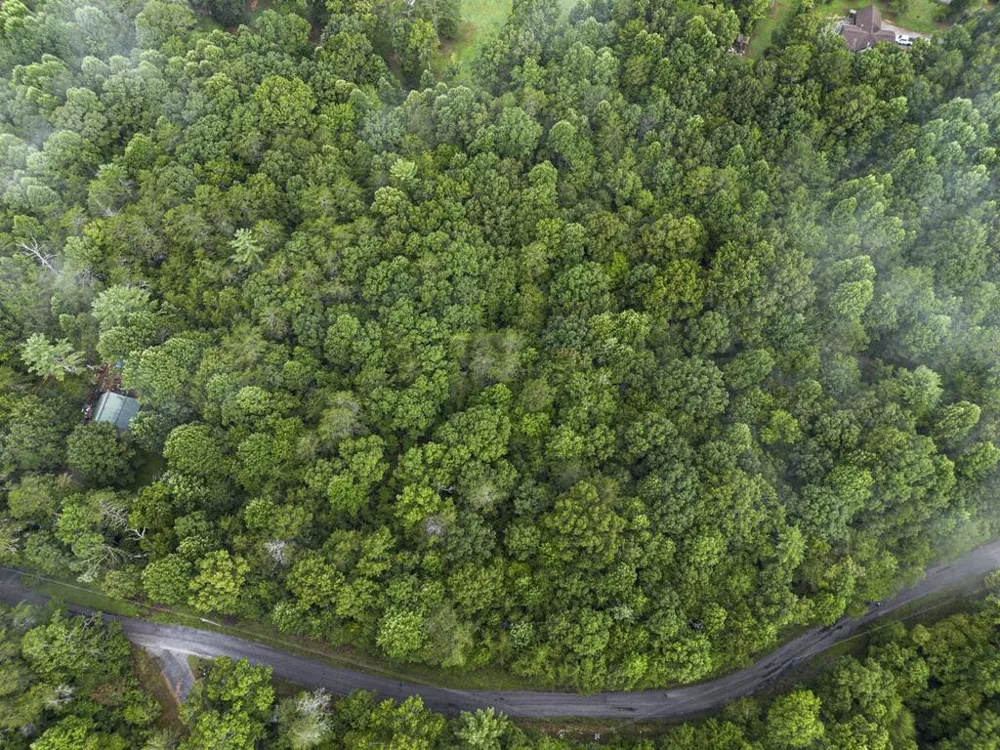 5.34 AC Hill Top Circle McCaysville, GA 30555