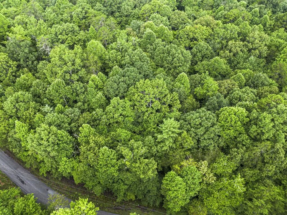5.34 AC Hill Top Circle McCaysville, GA 30555
