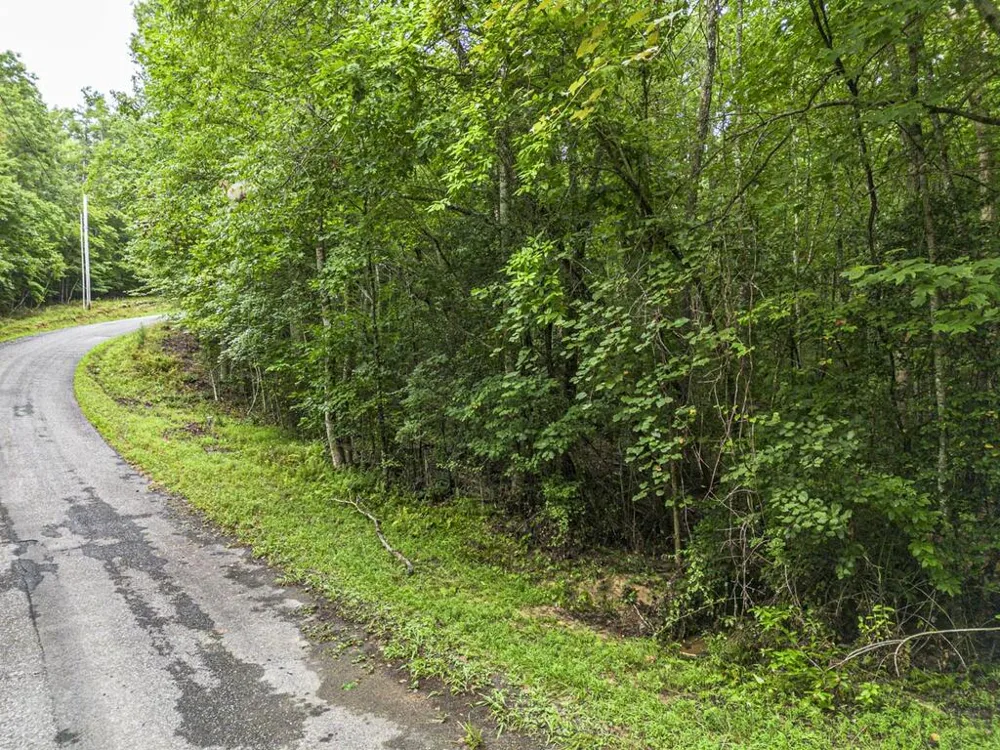 5.34 AC Hill Top Circle McCaysville, GA 30555