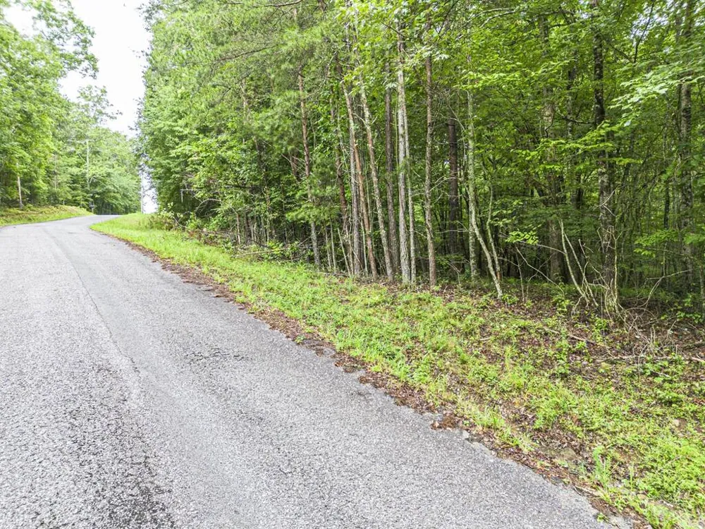 5.34 AC Hill Top Circle McCaysville, GA 30555